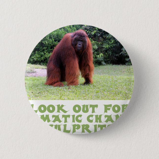 coole Orang-Utan Entwürfe Button (Vorderseite)