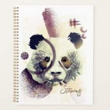 Coole Panda Illustration Art