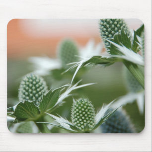 Coole Pflanze Mousepad