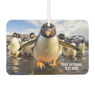 Coole Pinguine im benutzerdefinierten Text Autolufterfrischer