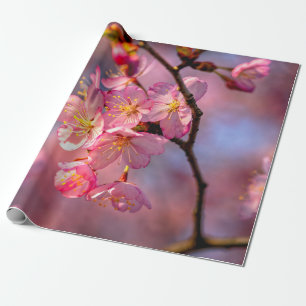 Coole Sakurablüten an einem Kirschbaum Geschenkpapier