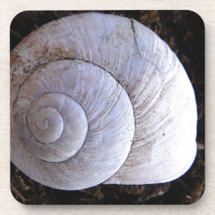Coole Schnecke Getränkeuntersetzer