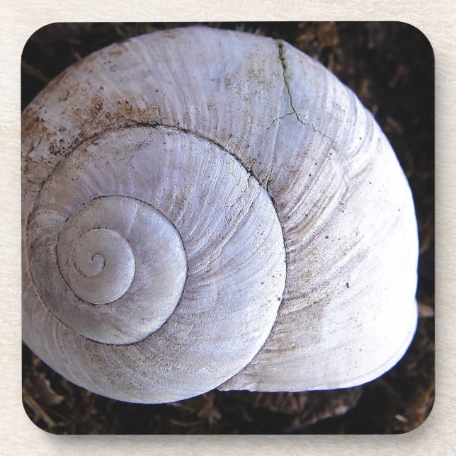 Coole Schnecke Getränkeuntersetzer (Vorderseite)