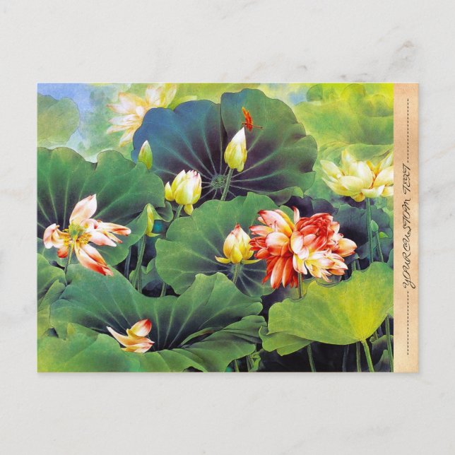 Coole schöne chinesische Lotus-Blume Postkarte (Vorderseite)