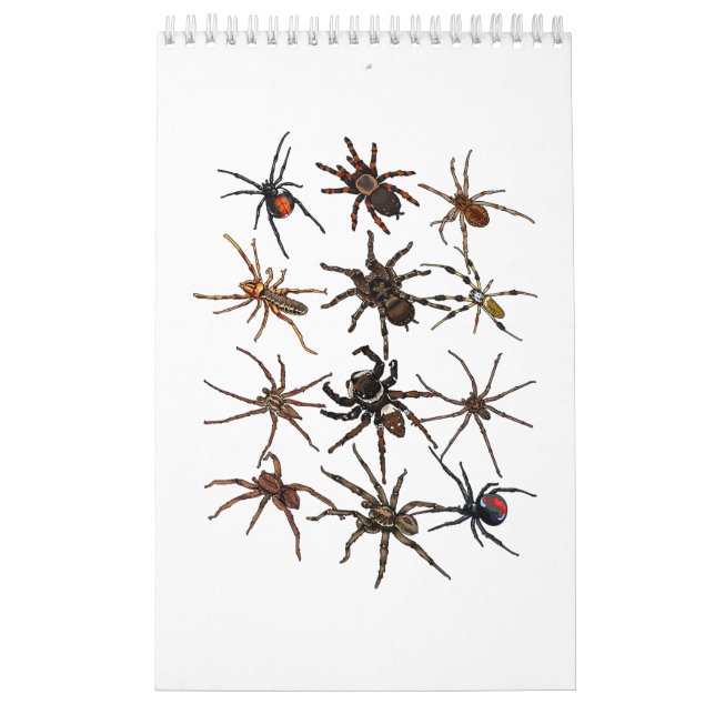 Coole Spinne für Männer Frauen Arachnid Spooky Beä Kalender (Titelbild)