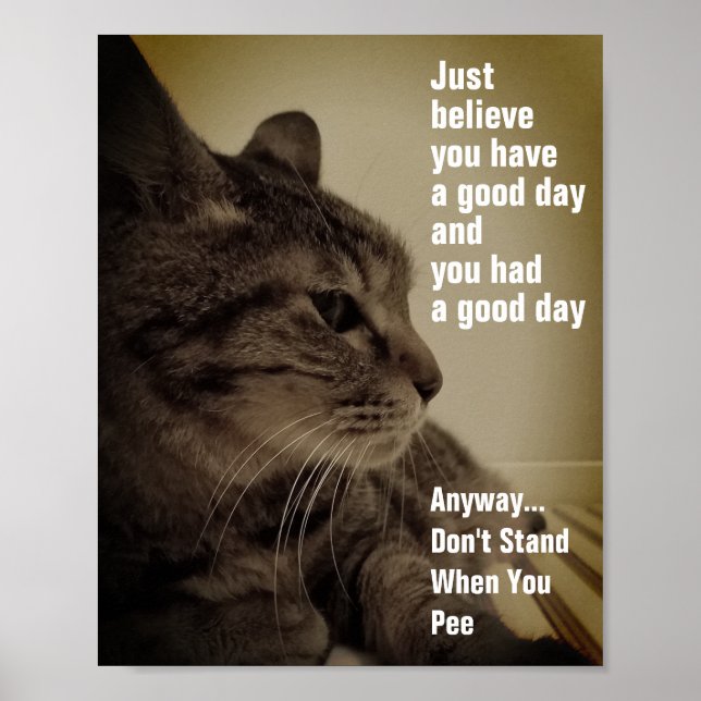 Coole und sonnige Toilette Pee Sign Meme Poster (Vorne)