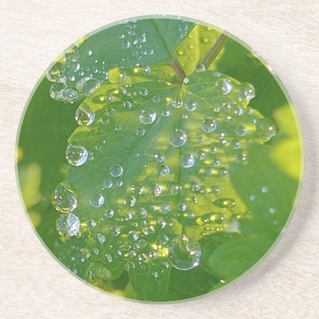 Coole Wassertropfen auf grünem Grund Getränkeuntersetzer (Vorne)