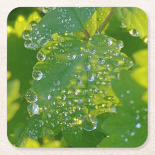 Coole Wassertropfen auf grünem Grund Rechteckiger Pappuntersetzer