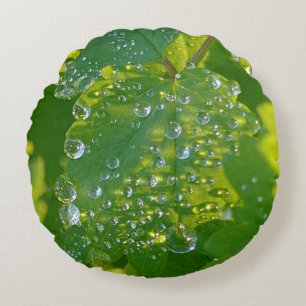 Coole Wassertropfen auf grünem Grund Rundes Kissen