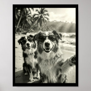 Cooler Australian Shepherd Selfie Strand Sonnenbri Poster
