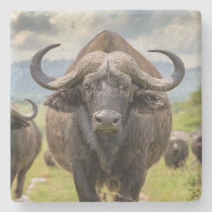 Cooler Buffalo Stein Untersetzer! Steinuntersetzer