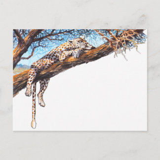 Cooler Gepard Postkarte