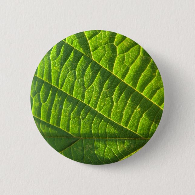 Cooler grüner Blattdruck Button (Vorderseite)