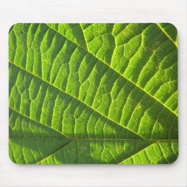 Cooler grüner Blattdruck Mousepad (Vorne)