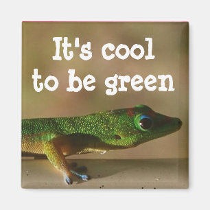 Cooler grüner Gecko Magnet