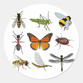 Cooler Insektenumlaufaufkleber Runder Aufkleber