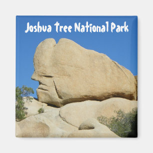 Cooler Joshua-Baum-Park-Magnet! Magnet