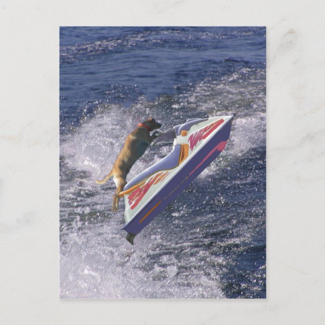 Cooler Labrador Jumping Waves Postkarte (Vorderseite)
