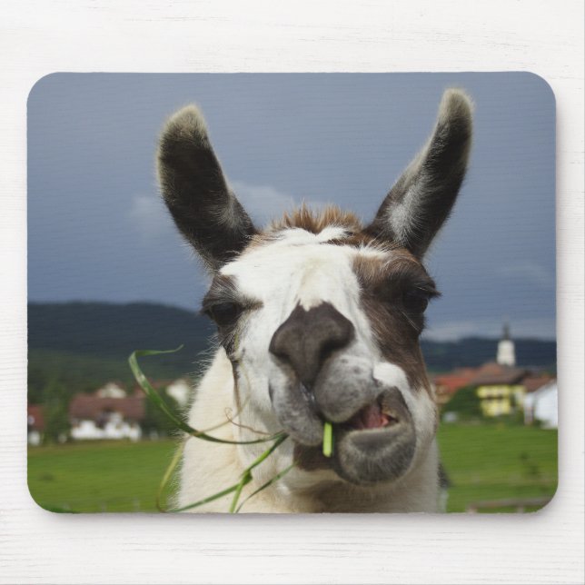 Cooler Lama Mousepad (Vorne)