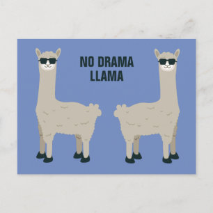 Cooler Lama-Sondertext und Farbpostkarte Postkarte