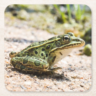 Cooler Leopard Frosch Rechteckiger Pappuntersetzer