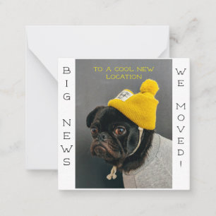 Cooler neuer Location Mops Hund! Postkarte