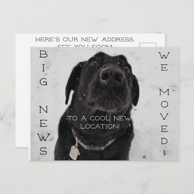 Cooler neuer Standort! Postkarte (Vorne/Hinten)