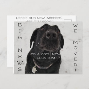 Cooler neuer Standort! Postkarte