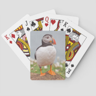 Cooler Puffin Spielkarten