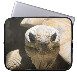 Cooler Schildkrötenschläfer! Laptopschutzhülle