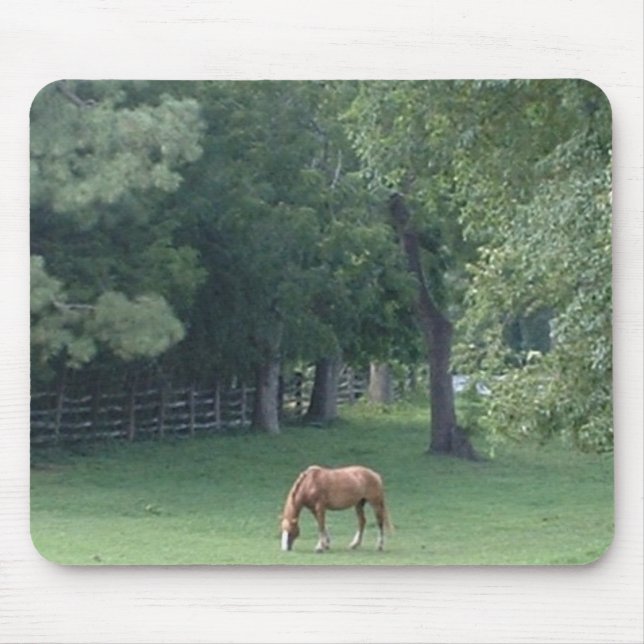 Cooler Serenity - mousepad (Vorne)