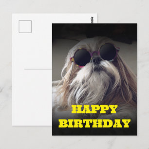Cooler Shih Tzu Langhaar Vintage-Foto Geburtstag Postkarte