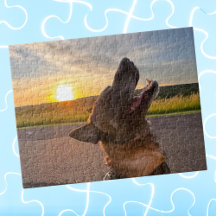 Cooler Spaß Dog Pet Foto, Familienspiel Nacht