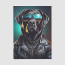 Cooler Terrence, Black Lab in Lederjacke Tissue