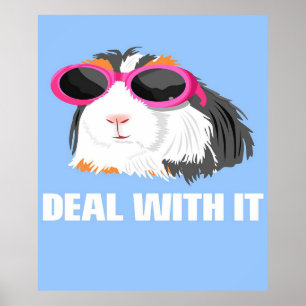 Cooler Umgang mit IT Guinea Schweineliebhaber Gesc Poster