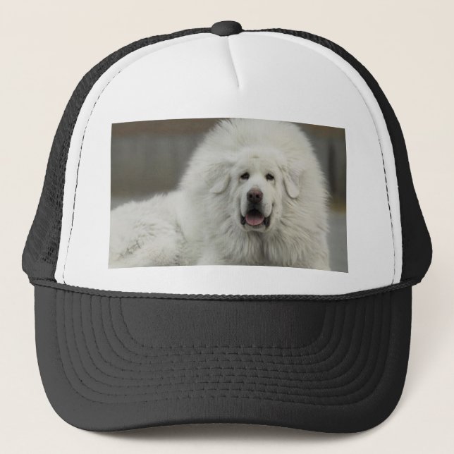 cooler weißer tibetanischer Mastiff Truckerkappe (Vorderseite)