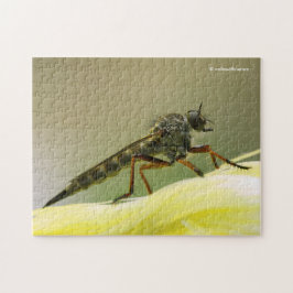 Cooles Assassin Fly Bug Insekt