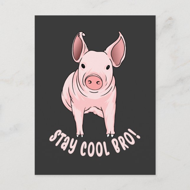 Cooles Bro Funny Pig bleibe Postkarte (Vorderseite)