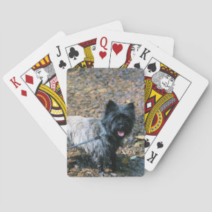 Cooles Cairn Spielkarten