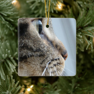 Cooles Cat-Face-Profil Nahes Foto Keramikornament
