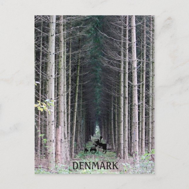 Cooles Dänemark Hexenkarte! Postkarte (Vorderseite)