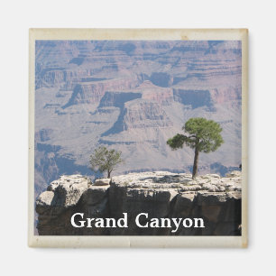 Cooles Grand Canyon Magnet! Magnet