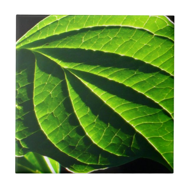 Cooles grünes Blatt Fliese (Vorderseite)