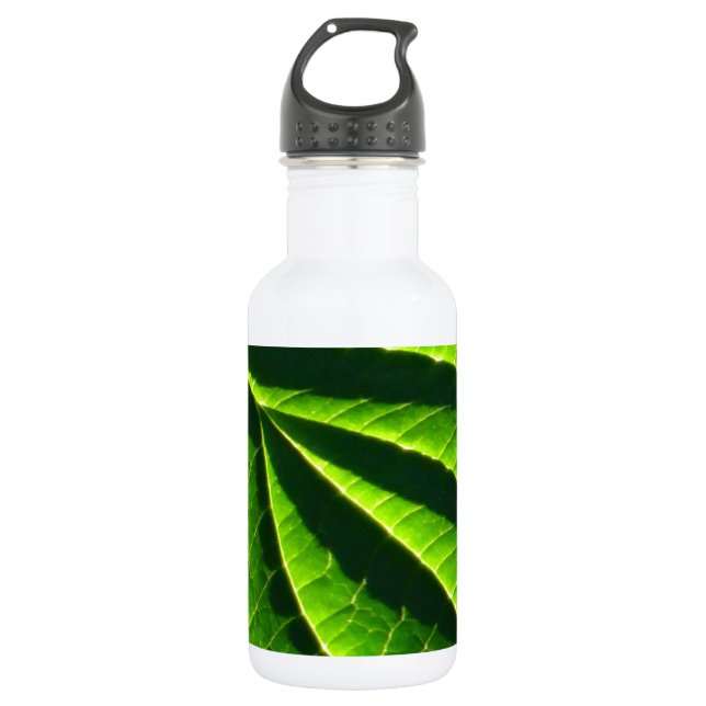 Cooles grünes Blatt Trinkflasche (Vorderseite)