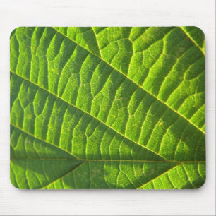 Cooles Grünes Blätter Mousepad