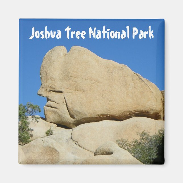 Cooles Joshua Tree Park Magnet! Magnet (Vorne)