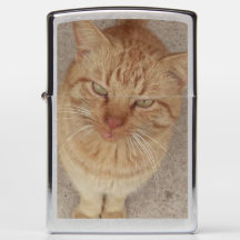 Cooles Katze Zippo Feuerzeug
