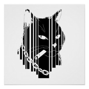 Cooles Katzenbild Poster