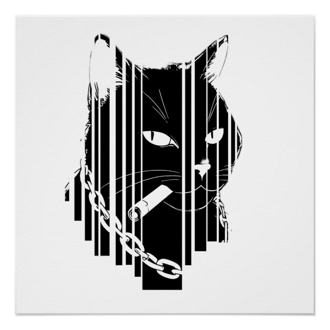 Cooles Katzenbild Poster (Vorderseite)