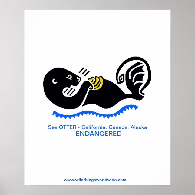 Cooles Meer - gefährdetes Tier - Poster (Vorne)